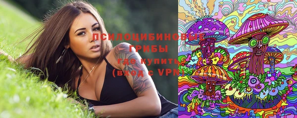 прущая мука Армянск