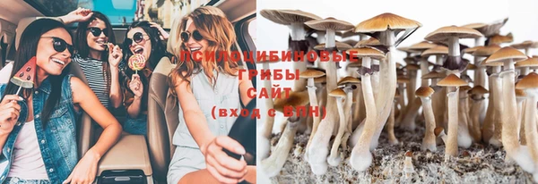 прущая мука Армянск