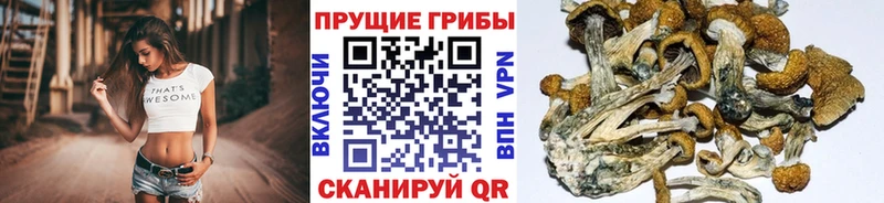Галлюциногенные грибы прущие грибы  Октябрьск 